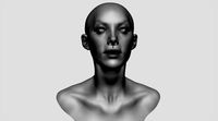 Female Head v11