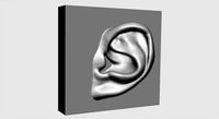 Ear Printable