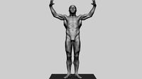 Stylized Male Anatomy
