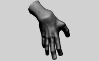Hand v4