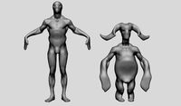Character Forms v2