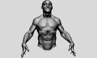 Upper Body Sculpting