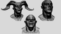 Creature Head Studies