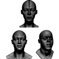 Male Female Head Collection