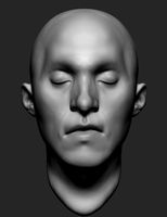 Free Male Head