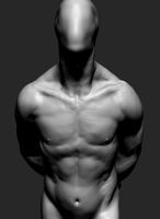 Free Male Anatomy