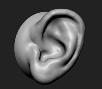 Ear v2