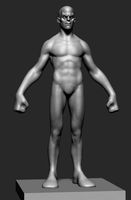 Stylized Male