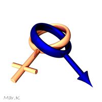 Gender Symbols