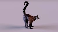 Lemur