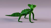 Basilisk lizard