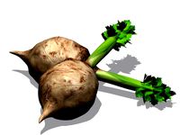 Celery
