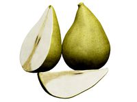 Pears