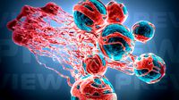 Cancer Growth 2 Static Hipoly 3D model