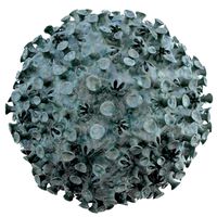 Micro Object MHT 088