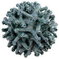 Micro Object MHT 086