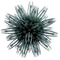 Micro Object MHT 076