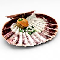 Scallop parsley shell cartoon