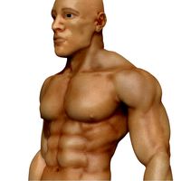 Athletic Man Zbrush Sculpt (UVed)
