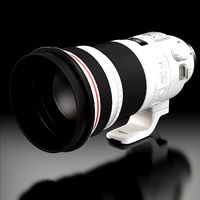 Canon EF 300mm f/2.8L IS II USM Lens