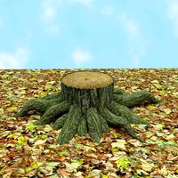 Tree trunk