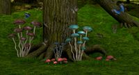 fantasy-forest