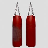Punching Bags Worn New