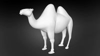 Camel 3d model