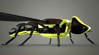 Bee Robot