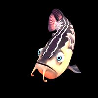 Arowana Cartoony Maya Rig