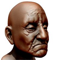 Old Man Head (Ztool)