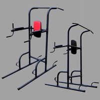 Weider Power Tower
