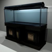 Aquarium and Stand- mister