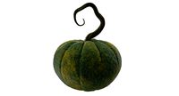 Green Pumpkin