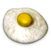 fried egg