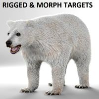 Polar bear - RIGGED and ANIMATED