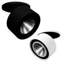 21380x Forte Inca Lightstar Spotlight