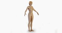 Female Nude