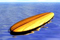 LONGBOARD WOOD(1)