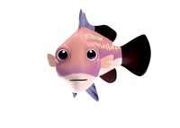 Barramundi animated fish low poly toon