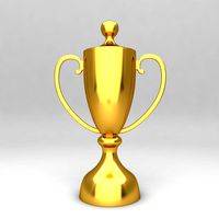 Awards Trophies  25