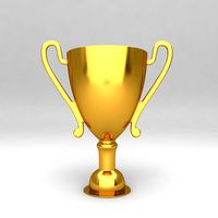 Awards Trophies  18