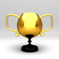 Awards Trophies 13
