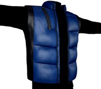 Black And Blue Puffer Vest