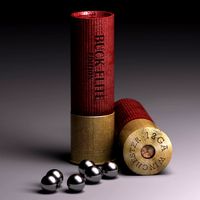 Shotgun Shell