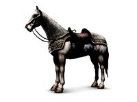 Horse with armor (Lowpoly)
