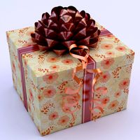 Gift Box 05