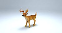 Deer