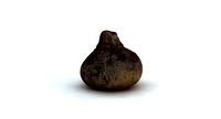 Beet