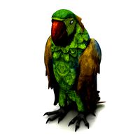 Parrot 3